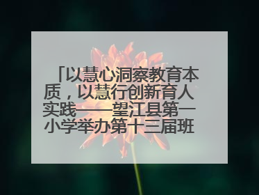 以慧心洞察教育本质，以慧行创新育人实践——望江县第一小学举办第十三届班主任论坛