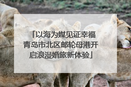 以海为媒见证幸福 青岛市北区邮轮母港开启浪漫婚旅新体验
