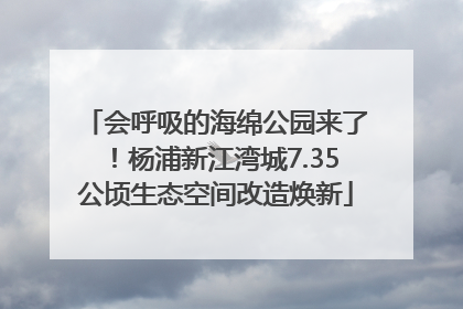 会呼吸的海绵公园来了！杨浦新江湾城7.35公顷生态空间改造焕新