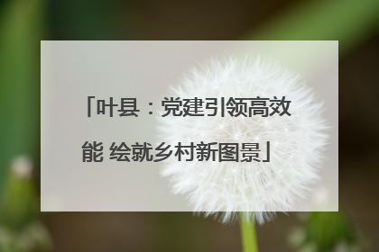 叶县：党建引领高效能 绘就乡村新图景