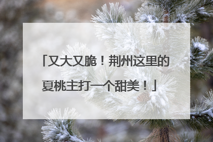 又大又脆！荆州这里的夏桃主打一个甜美！