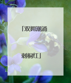 双拥潮涌刺桐红