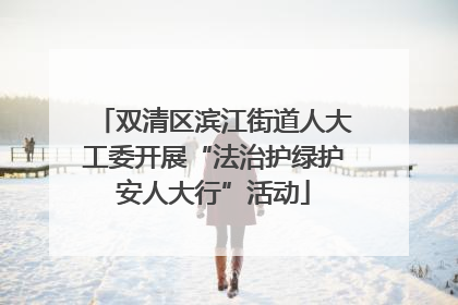 双清区滨江街道人大工委开展“法治护绿护安人大行”活动