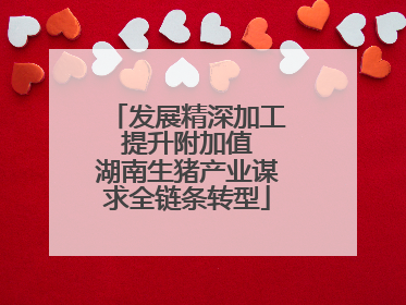 发展精深加工 提升附加值 湖南生猪产业谋求全链条转型