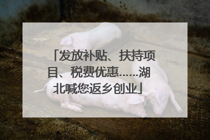 发放补贴、扶持项目、税费优惠……湖北喊您返乡创业
