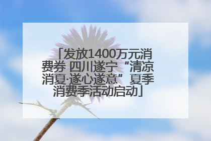 发放1400万元消费券 四川遂宁“清凉消夏·遂心遂意”夏季消费季活动启动
