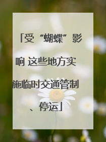 受“蝴蝶”影响 这些地方实施临时交通管制、停运