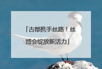 古都携手丝路！丝博会绽放新活力