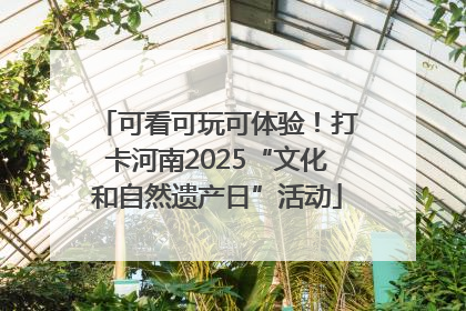 可看可玩可体验！打卡河南2025“文化和自然遗产日”活动