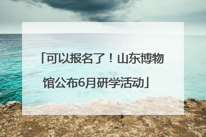 可以报名了！山东博物馆公布6月研学活动