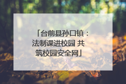 台前县孙口镇：法制课进校园 共筑校园安全网