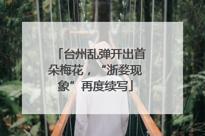 台州乱弹开出首朵梅花，“浙婺现象”再度续写