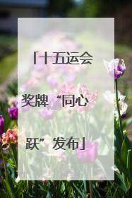 十五运会奖牌“同心跃”发布