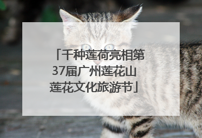 千种莲荷亮相第37届广州莲花山莲花文化旅游节