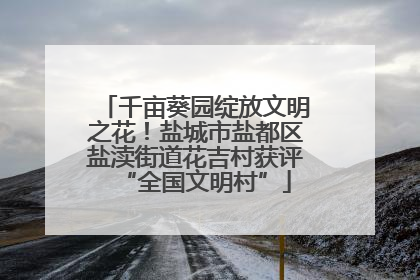 千亩葵园绽放文明之花！盐城市盐都区盐渎街道花吉村获评“全国文明村”