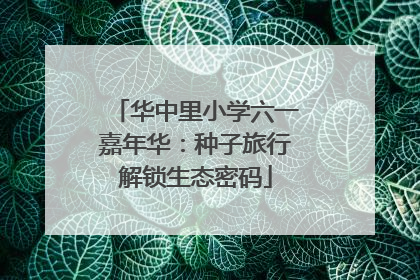 华中里小学六一嘉年华：种子旅行解锁生态密码