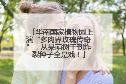 华南国家植物园上演“多肉界玫瑰传奇”，从呆萌树干到炸裂种子全是戏！