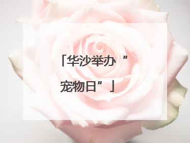 华沙举办“宠物日”