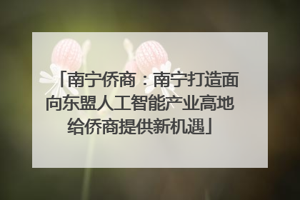 南宁侨商：南宁打造面向东盟人工智能产业高地给侨商提供新机遇