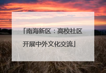 南海新区：高校社区开展中外文化交流
