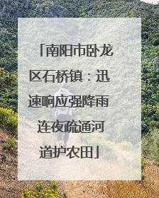 南阳市卧龙区石桥镇：迅速响应强降雨 连夜疏通河道护农田