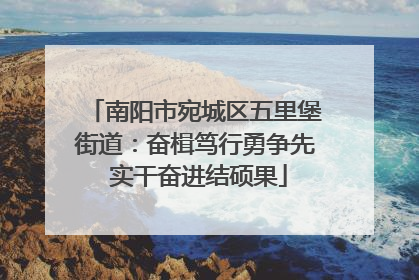 南阳市宛城区五里堡街道：奋楫笃行勇争先 实干奋进结硕果