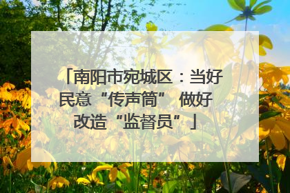 南阳市宛城区：当好民意“传声筒” 做好改造“监督员”