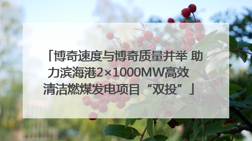 博奇速度与博奇质量并举 助力滨海港2×1000MW高效清洁燃煤发电项目“双投”