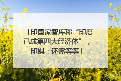 印国家智库称“印度已成第四大经济体”，印媒：还需等等
