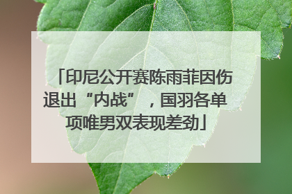 印尼公开赛陈雨菲因伤退出“内战”，国羽各单项唯男双表现差劲