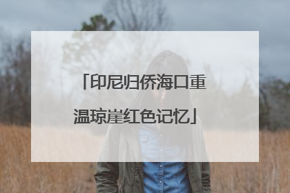 印尼归侨海口重温琼崖红色记忆
