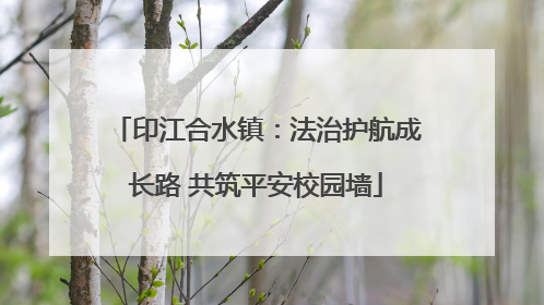 印江合水镇：法治护航成长路 共筑平安校园墙