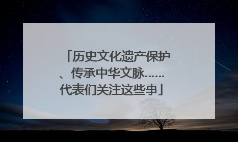历史文化遗产保护、传承中华文脉……代表们关注这些事