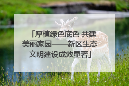 厚植绿色底色 共建美丽家园——新区生态文明建设成效显著