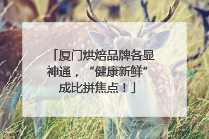 厦门烘焙品牌各显神通，“健康新鲜”成比拼焦点！