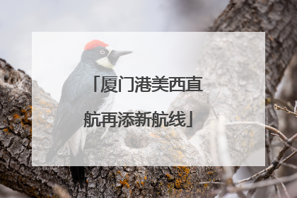 厦门港美西直航再添新航线