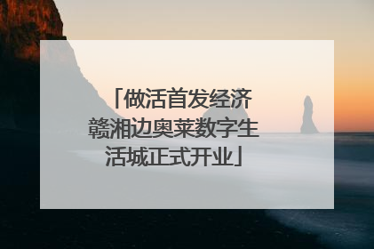 做活首发经济 赣湘边奥莱数字生活城正式开业