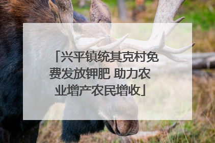 兴平镇统其克村免费发放钾肥 助力农业增产农民增收