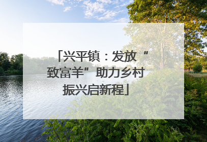 兴平镇：发放“致富羊”助力乡村振兴启新程
