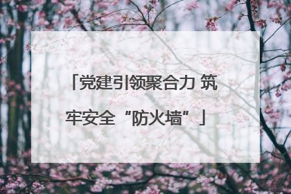 党建引领聚合力 筑牢安全“防火墙”
