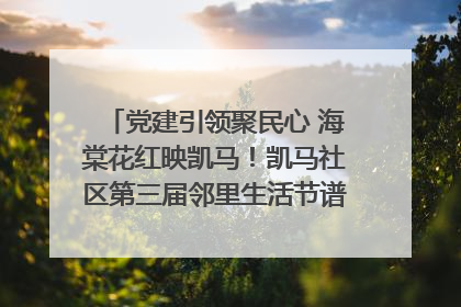 党建引领聚民心 海棠花红映凯马！凯马社区第三届邻里生活节谱写幸福新篇章