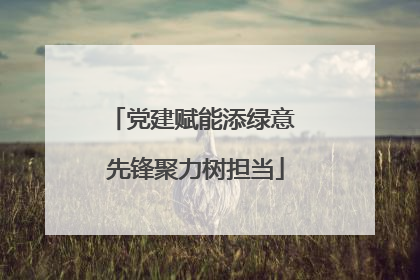 党建赋能添绿意 先锋聚力树担当