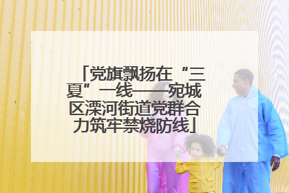 党旗飘扬在“三夏”一线——宛城区溧河街道党群合力筑牢禁烧防线