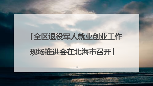 全区退役军人就业创业工作现场推进会在北海市召开