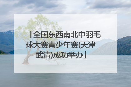 全国东西南北中羽毛球大赛青少年赛(天津武清)成功举办