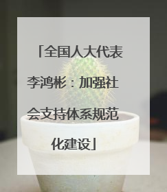 全国人大代表李鸿彬：加强社会支持体系规范化建设