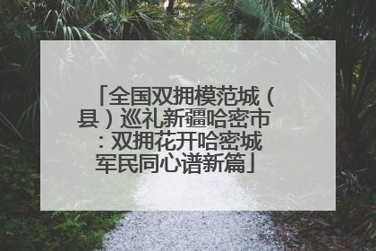 全国双拥模范城（县）巡礼新疆哈密市：双拥花开哈密城 军民同心谱新篇