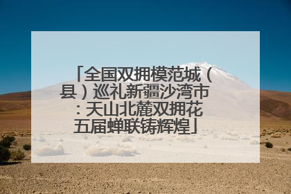 全国双拥模范城（县）巡礼新疆沙湾市：天山北麓双拥花 五届蝉联铸辉煌