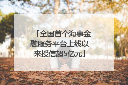 全国首个海事金融服务平台上线以来授信超5亿元