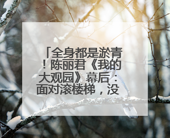 全身都是淤青！陈丽君《我的大观园》幕后：面对滚楼梯，没有做不到
